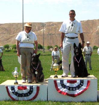 image003