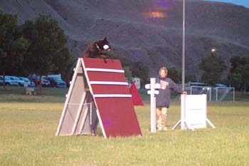 image007