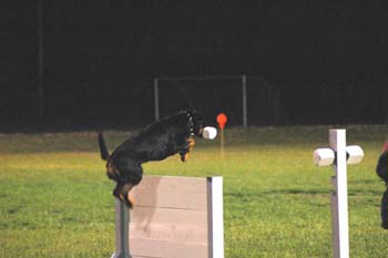 image025