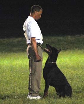 image027